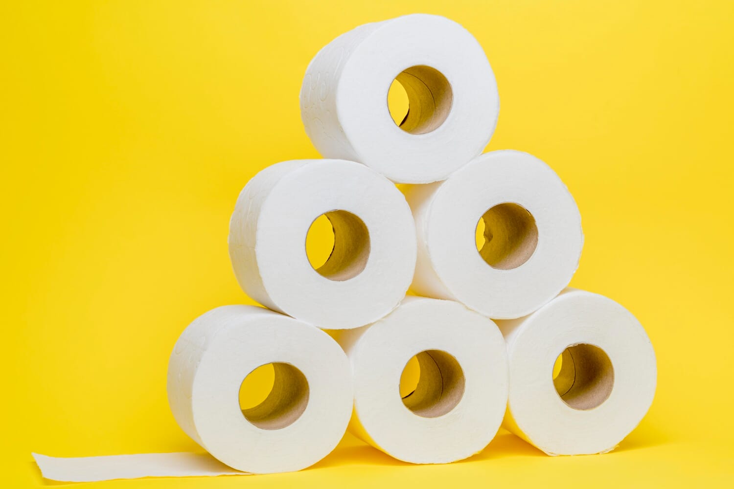  Toilet Paper